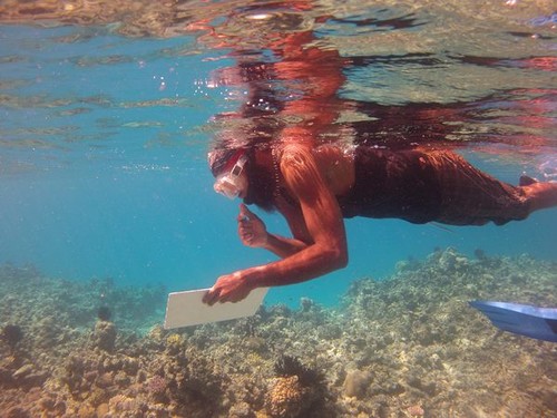 Reef Health monitoring © Chris Bone